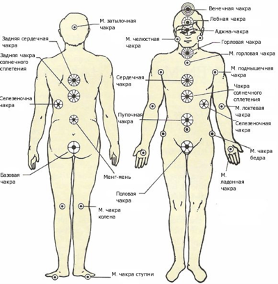 Главные и некоторые малые чакры – по системе мастера Чоа Кок Суи