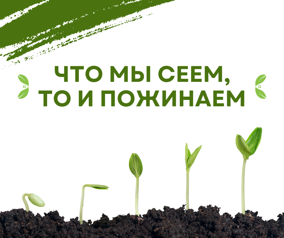 Что мы сеем, то и пожинаем