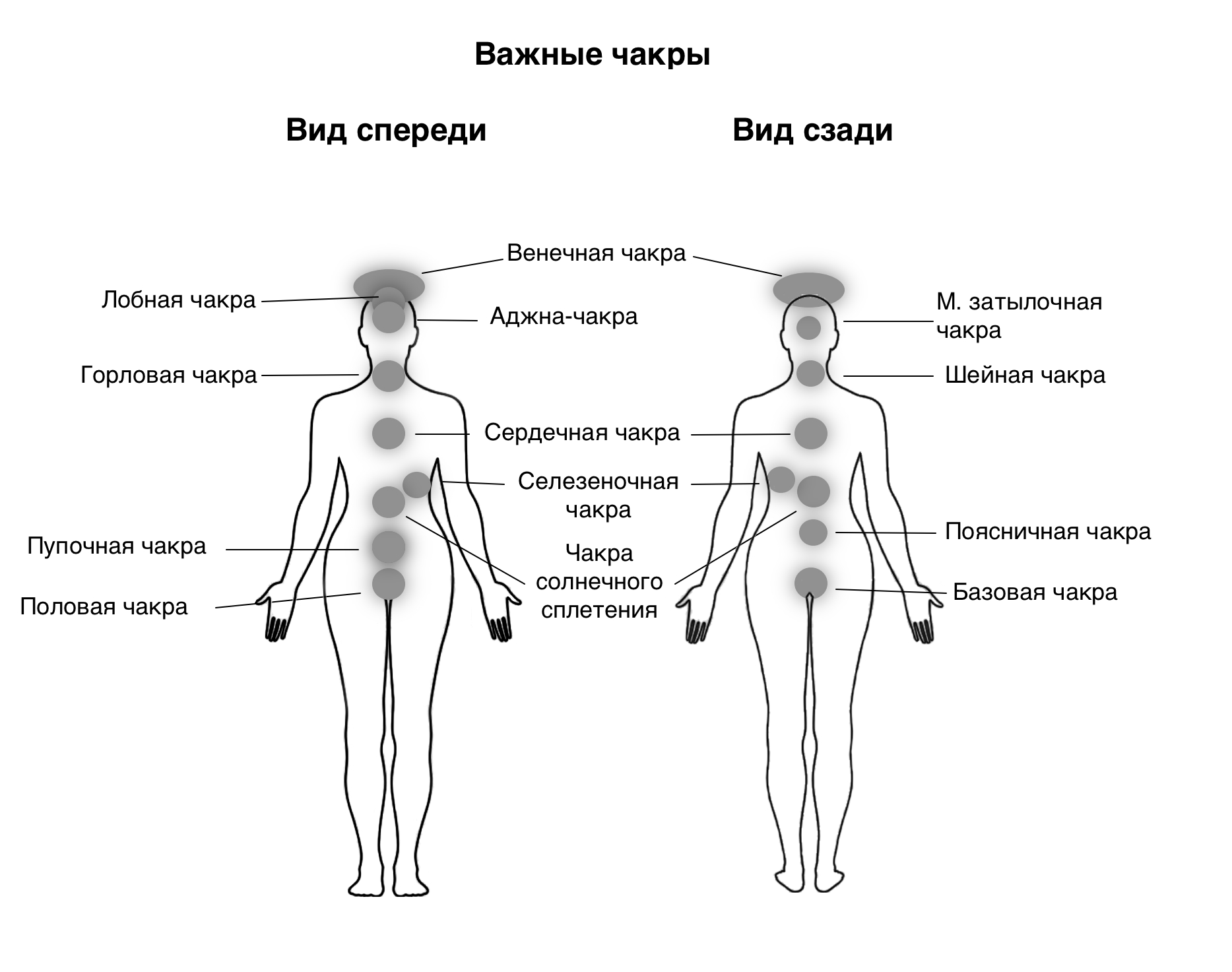 Система чакр